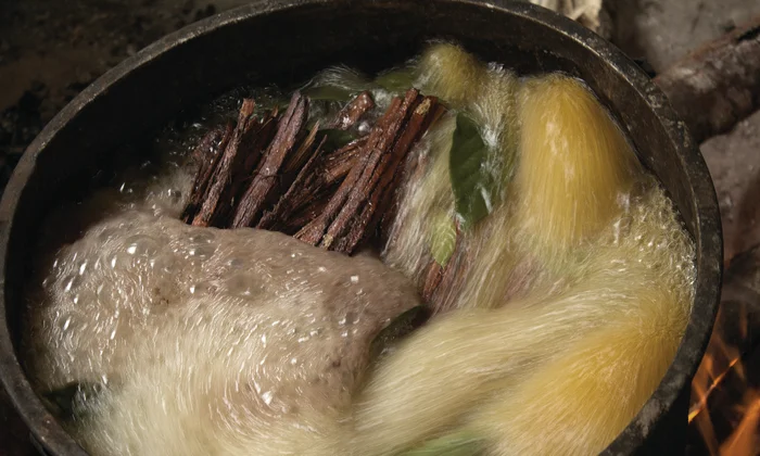 Ayahuasca főzés folyamata